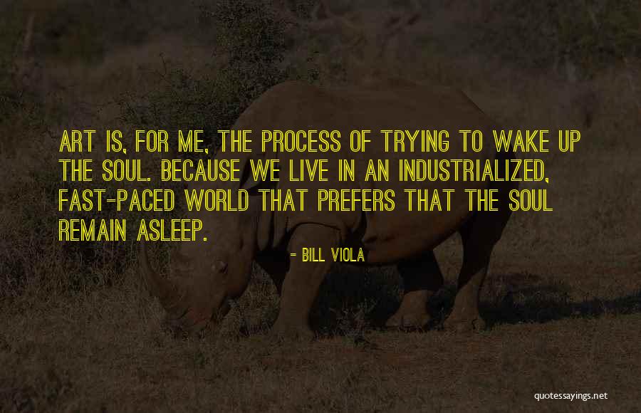 Dicaprios Carpet Quotes By Bill Viola Dicaprios Carpet Quotes By Bill Viola