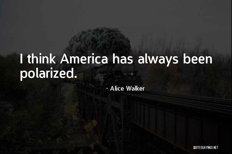 Dichromate Test Quotes By Alice Walker