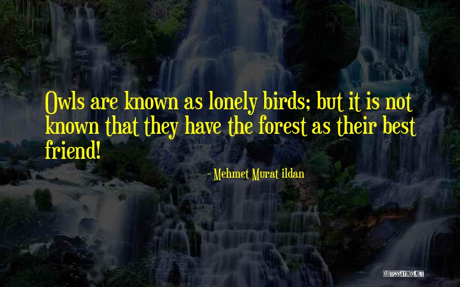Diciembre Me Gusto Quotes By Mehmet Murat Ildan Diciembre Me Gusto Quotes By Mehmet Murat Ildan