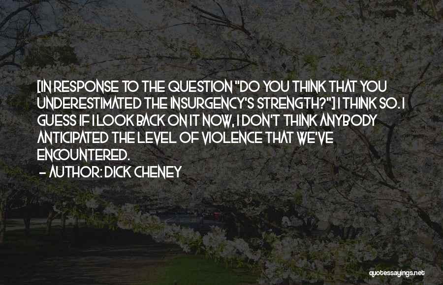 Dick Cheney Quotes 83882