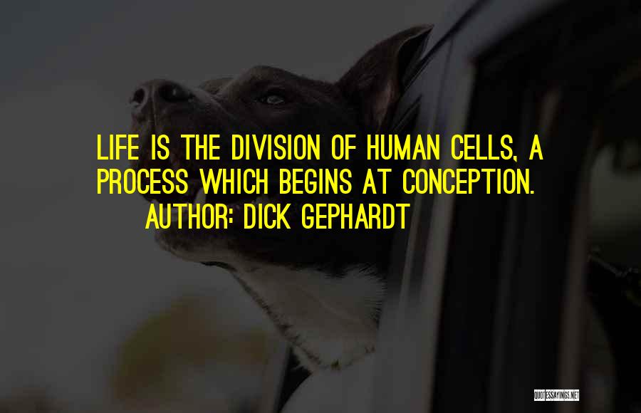 Dick Gephardt Quotes 652407