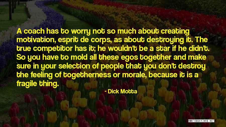 Dick Motta Quotes 739789