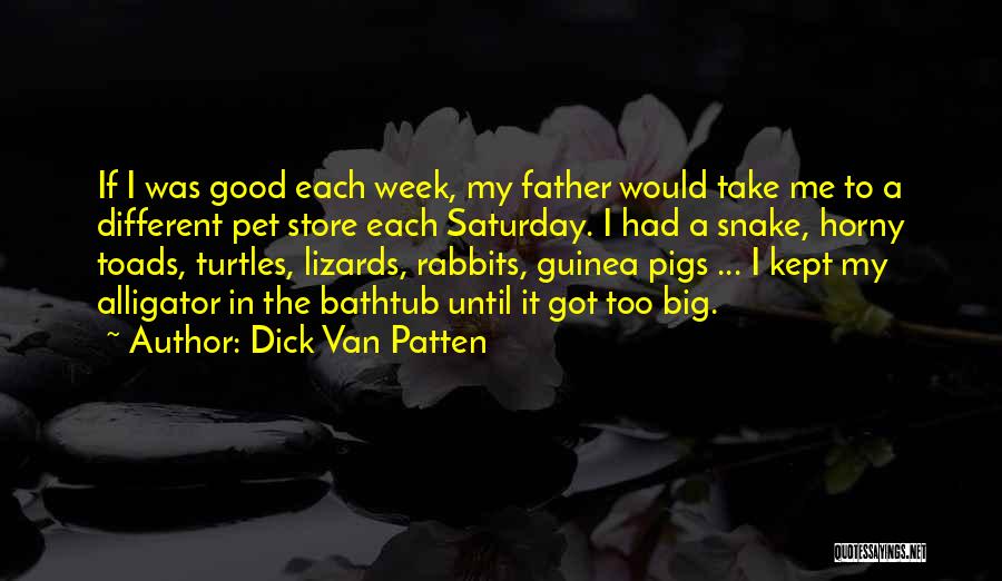 Dick Van Patten Quotes 756244