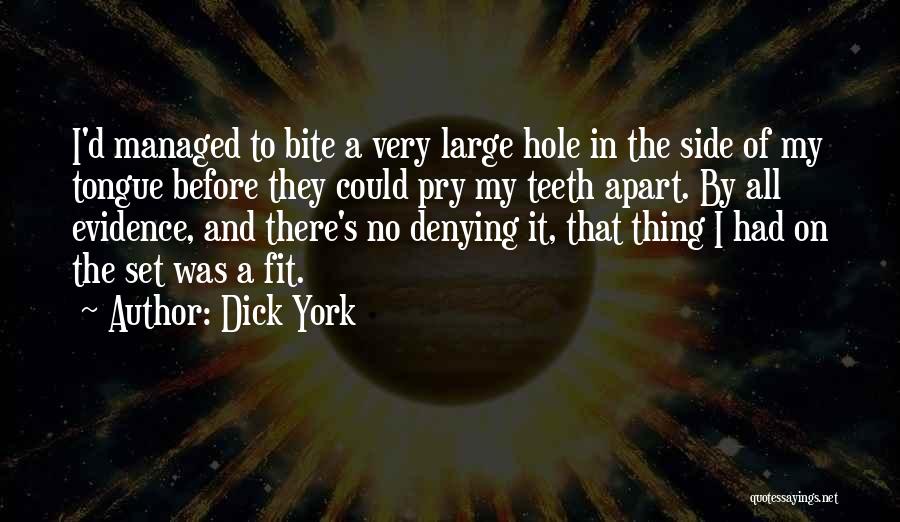 Dick York Quotes 2085345