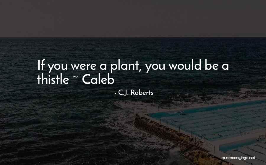 Dickarette Quotes By C.J. Roberts Dickarette Quotes By C.J. Roberts