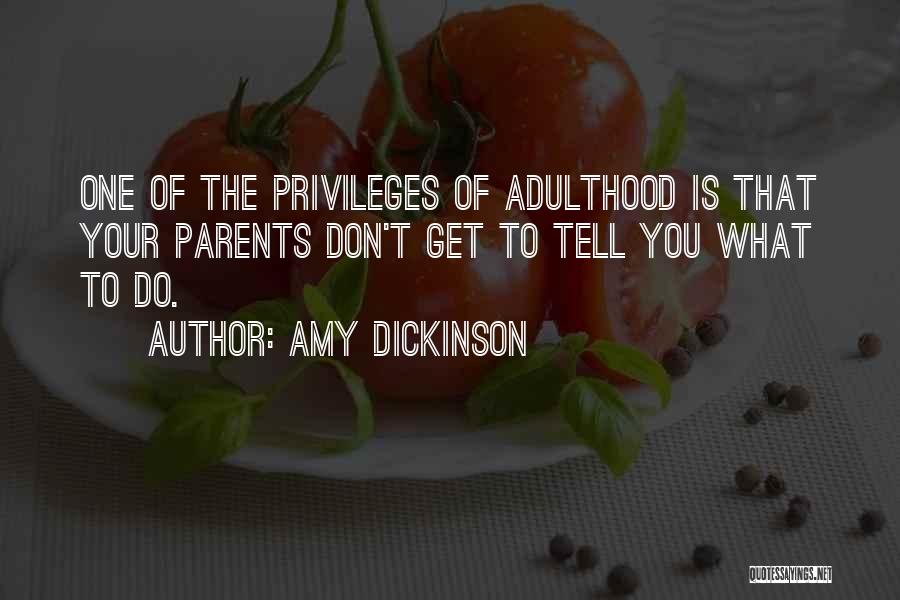 Dickinson Quotes By Amy Dickinson