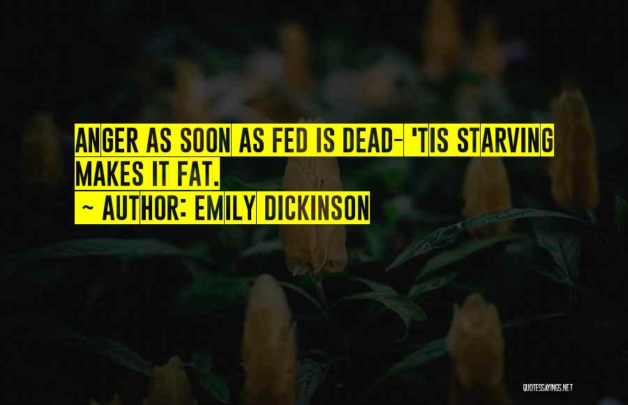 Dickinson Quotes By Emily Dickinson