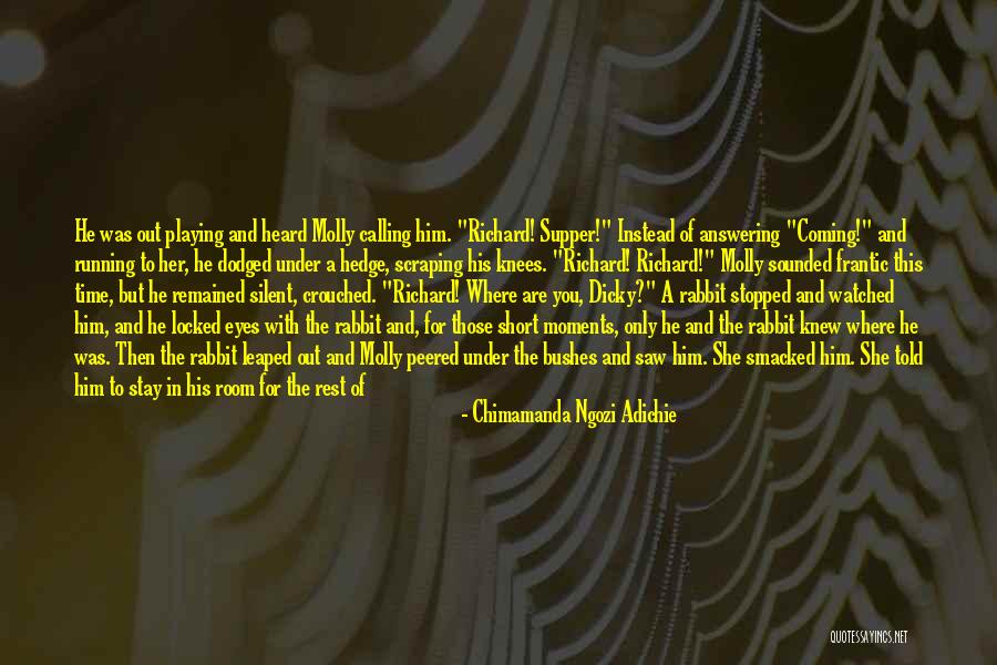 Dicky Quotes By Chimamanda Ngozi Adichie