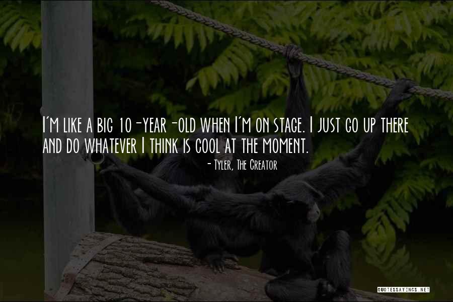 Diclemente And Prochaska Quotes By Tyler, The Creator Diclemente And Prochaska Quotes By Tyler, The Creator