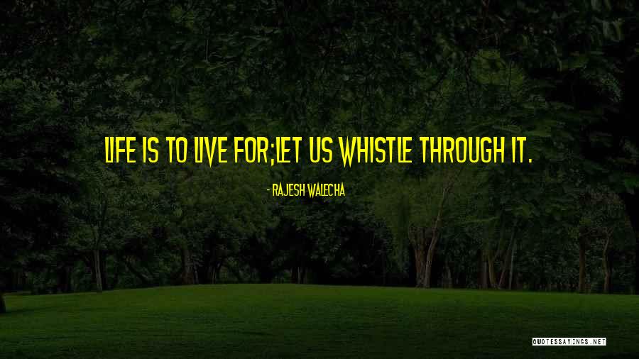 Dicosmos Pizza Quotes By Rajesh Walecha Dicosmos Pizza Quotes By Rajesh Walecha
