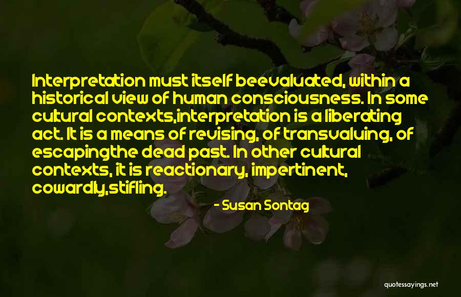 Dict E 6 Me Quotes By Susan Sontag Dict E 6 Me Quotes By Susan Sontag