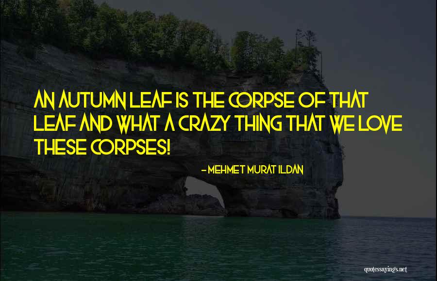 Dictated Crossword Quotes By Mehmet Murat Ildan Dictated Crossword Quotes By Mehmet Murat Ildan