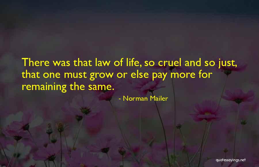 Dictator Government Quotes By Norman Mailer Dictator Government Quotes By Norman Mailer