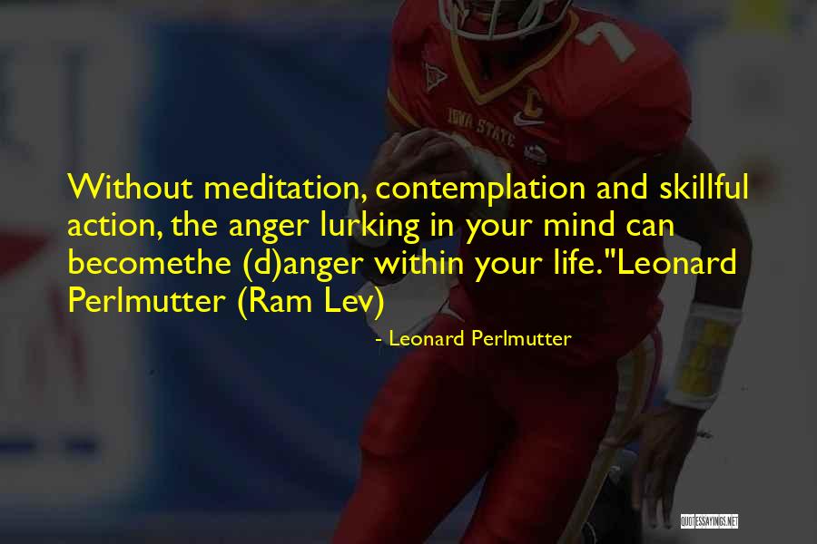 Dictatorul Online Quotes By Leonard Perlmutter Dictatorul Online Quotes By Leonard Perlmutter