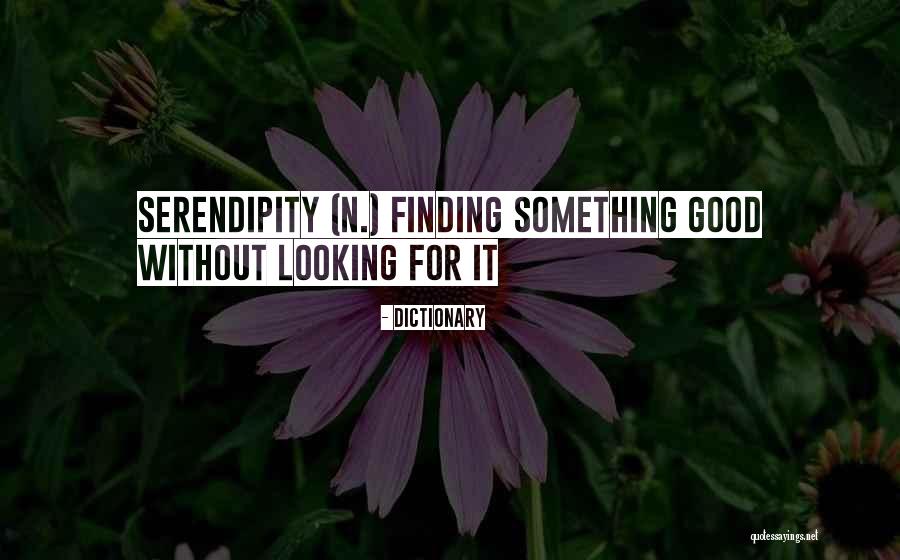 Dictionary Quotes 675367 Dictionary Quotes 675367