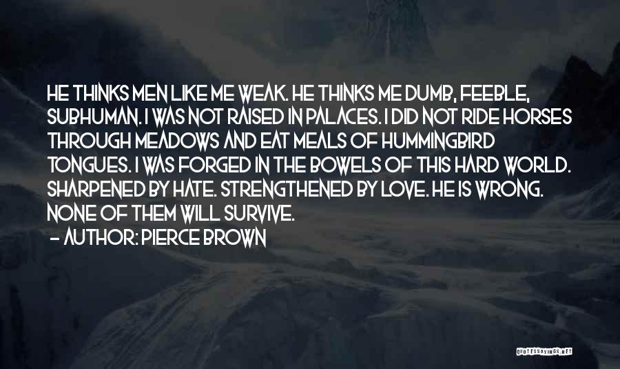Did He Love Me Quotes By Pierce Brown