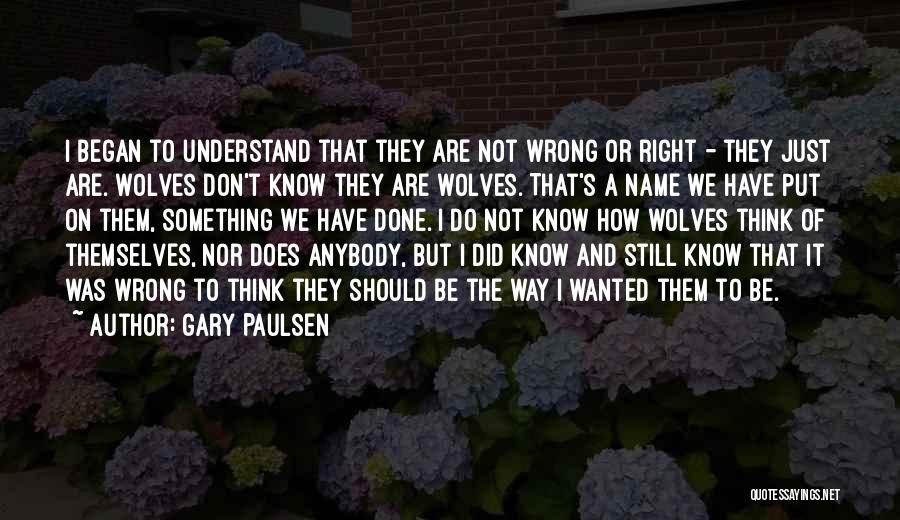 Did I Do Wrong Quotes By Gary Paulsen