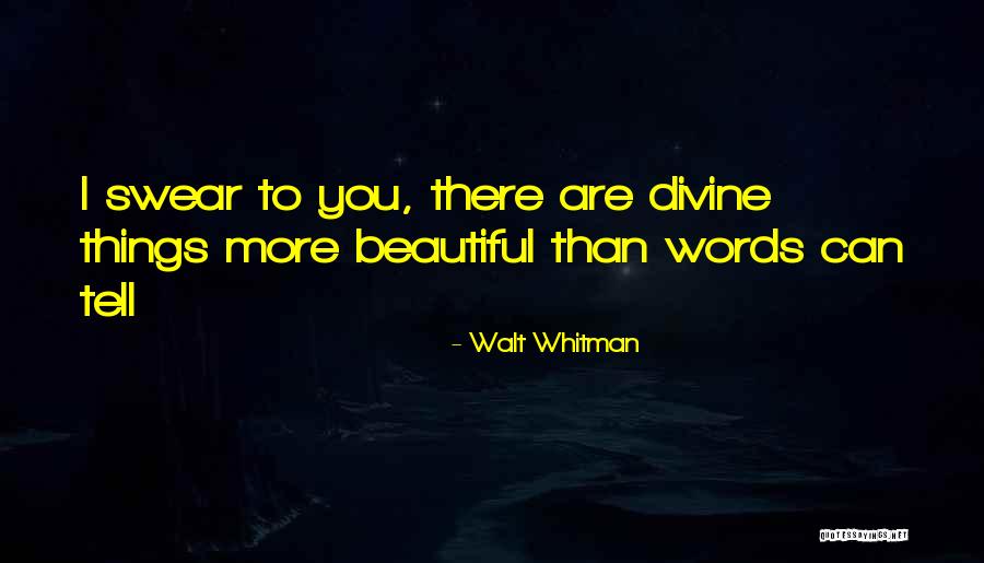 Did I Ever Tell You How Beautiful You Are Quotes By Walt Whitman