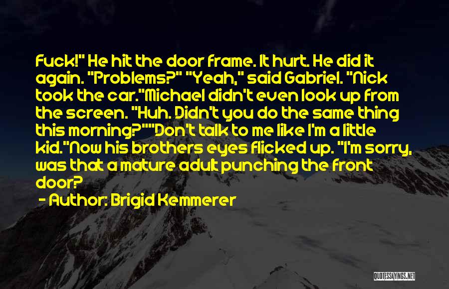 Did I Hurt You Quotes By Brigid Kemmerer