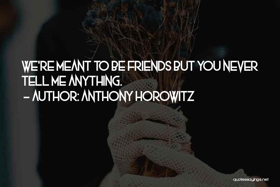 Did I Never Meant Anything To You Quotes By Anthony Horowitz