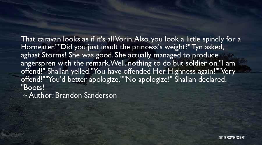 Did I Offend You Quotes By Brandon Sanderson