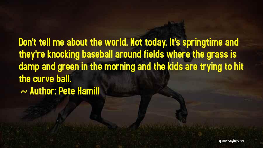 Did I Tell You Today Quotes By Pete Hamill