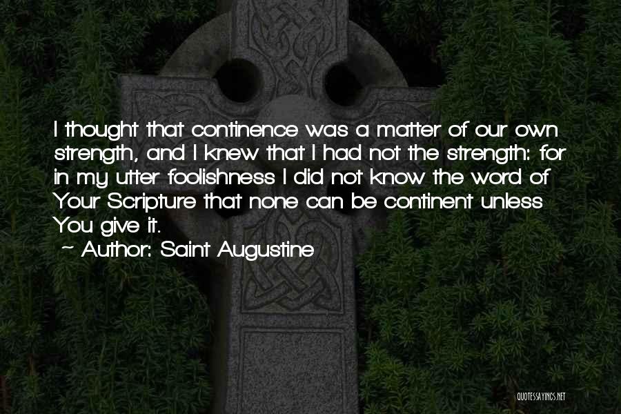 Did It For You Quotes By Saint Augustine