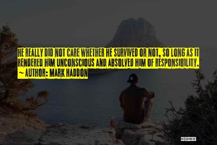 Did Not Care Quotes By Mark Haddon