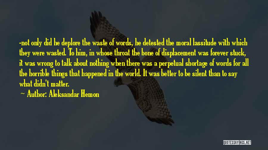 Did Nothing Wrong Quotes By Aleksandar Hemon