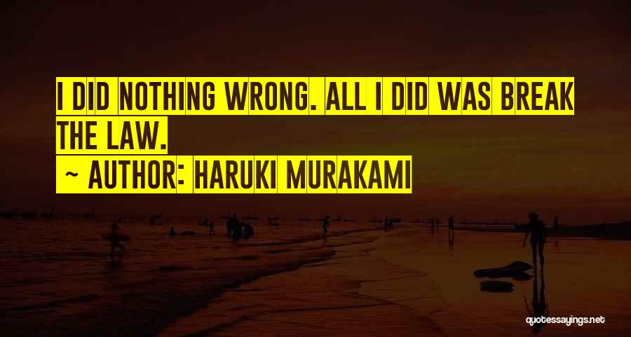 Did Nothing Wrong Quotes By Haruki Murakami