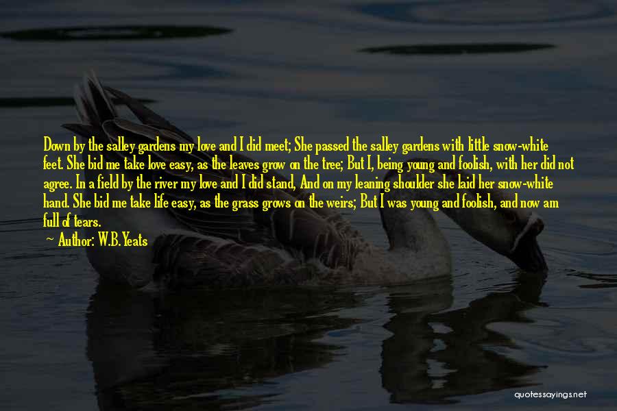 Did She Love Me Quotes By W.B.Yeats