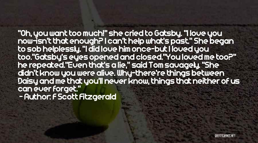 Did You Even Love Me Quotes By F Scott Fitzgerald