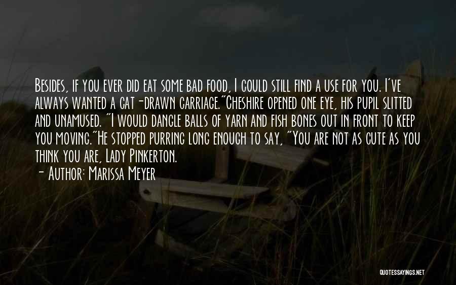 Did You Ever Think Quotes By Marissa Meyer