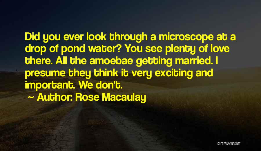Did You Ever Think Quotes By Rose Macaulay