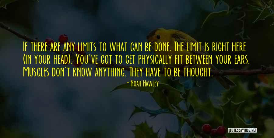 Did You Know Fitness Quotes By Noah Hawley