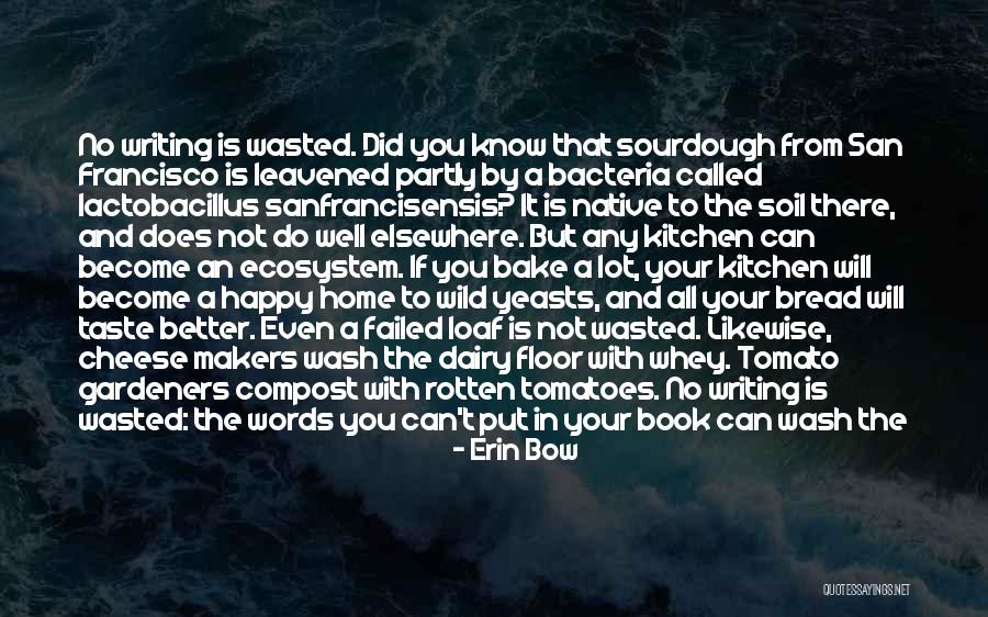 Did You Know Inspirational Quotes By Erin Bow Did You Know Inspirational Quotes By Erin Bow