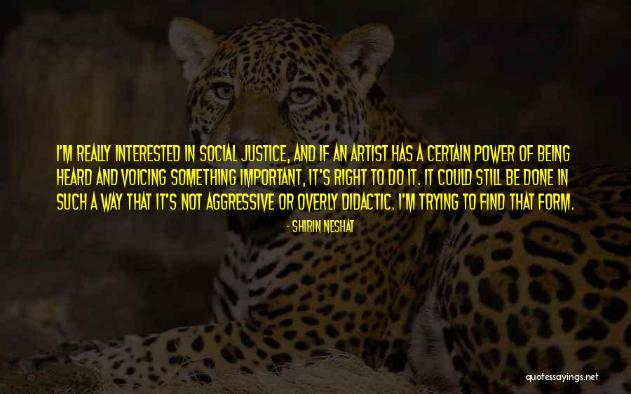 Didactic Quotes By Shirin Neshat Didactic Quotes By Shirin Neshat