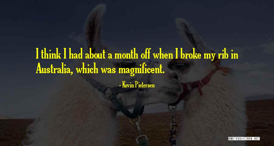 Didacticism Literary Quotes By Kevin Pietersen Didacticism Literary Quotes By Kevin Pietersen