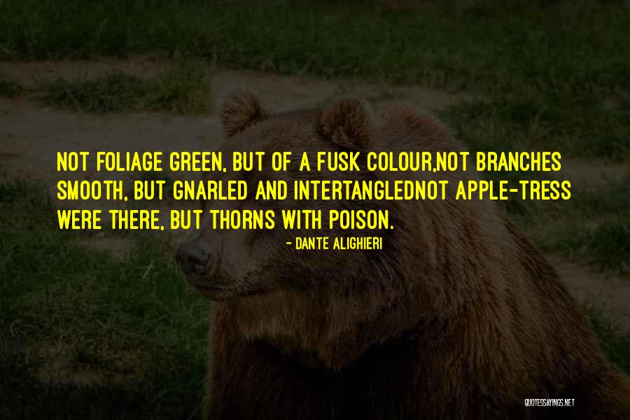 Didacts And Narpets Quotes By Dante Alighieri Didacts And Narpets Quotes By Dante Alighieri