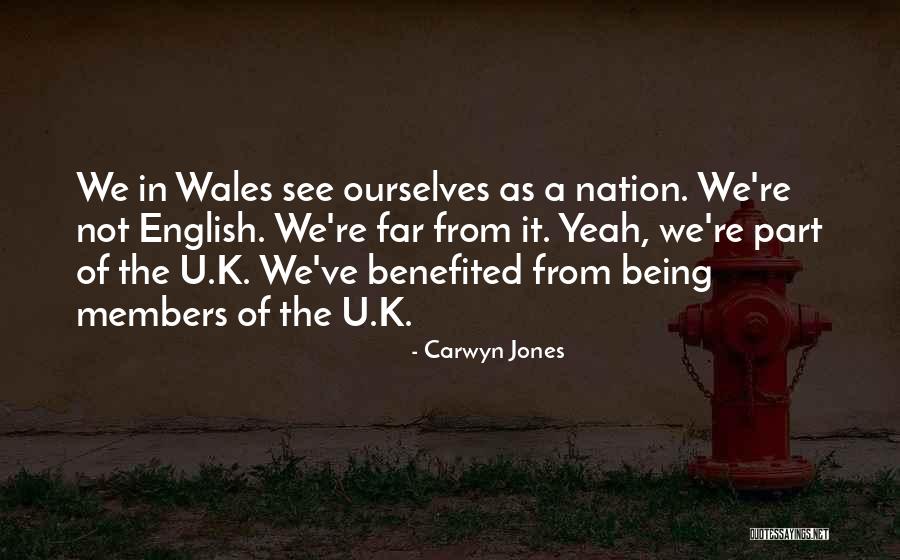 Didina Pokemon Quotes By Carwyn Jones Didina Pokemon Quotes By Carwyn Jones