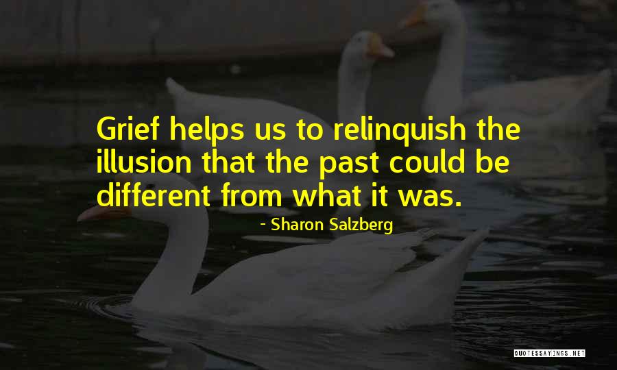 Didio Quotes By Sharon Salzberg Didio Quotes By Sharon Salzberg