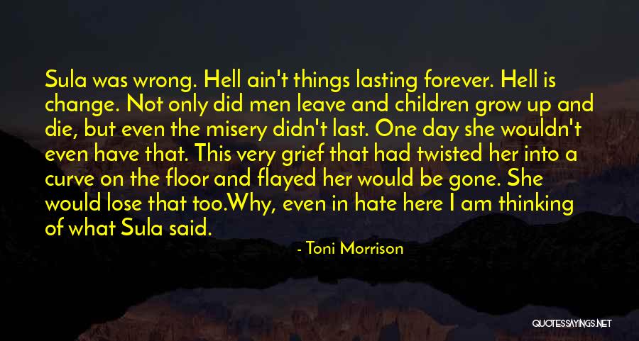 Didn't Change Quotes By Toni Morrison