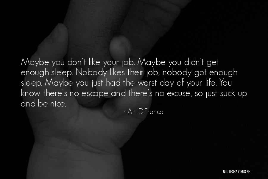 Didn't Get Job Quotes By Ani DiFranco