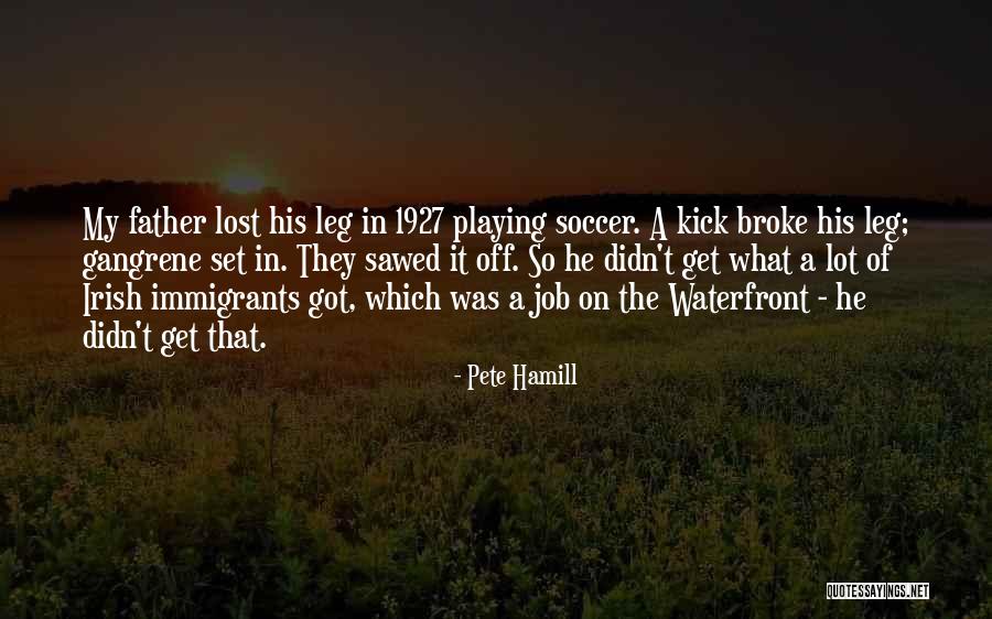 Didn't Get Job Quotes By Pete Hamill Didn't Get Job Quotes By Pete Hamill
