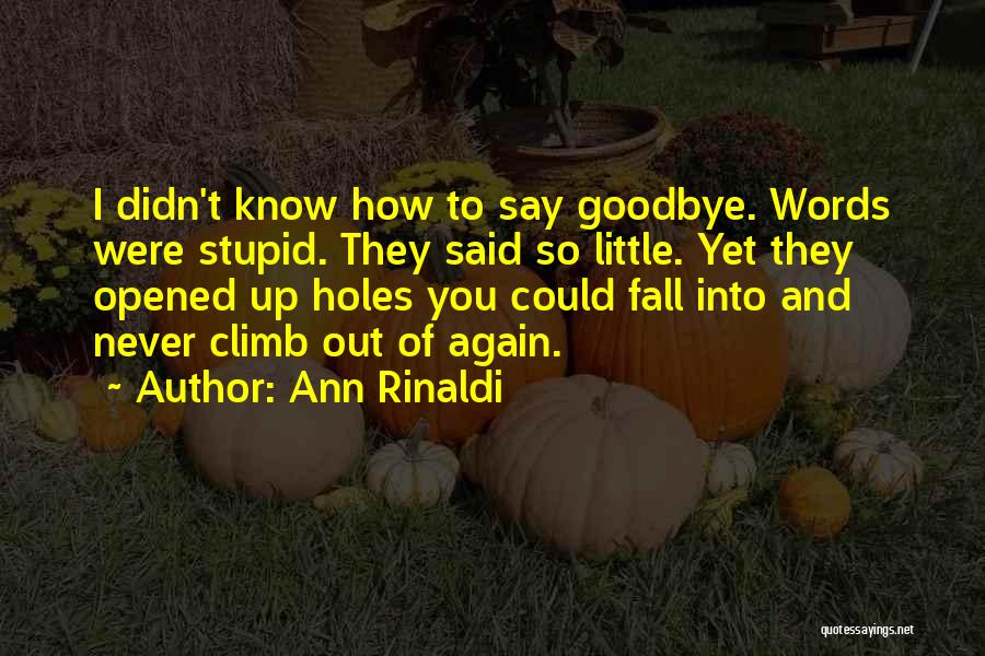 Didn't Get To Say Goodbye Quotes By Ann Rinaldi