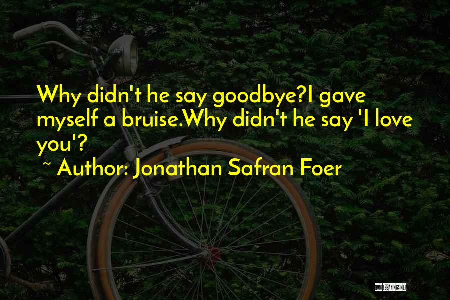 Didn't Get To Say Goodbye Quotes By Jonathan Safran Foer