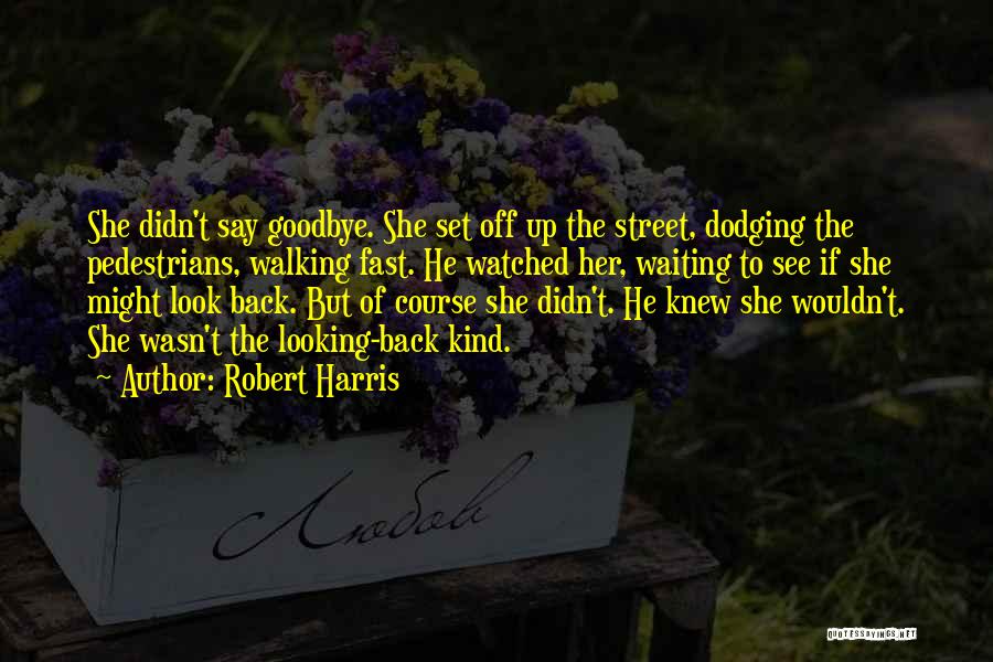 Didn't Get To Say Goodbye Quotes By Robert Harris