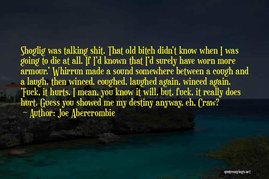 Didn't Mean Hurt You Quotes By Joe Abercrombie