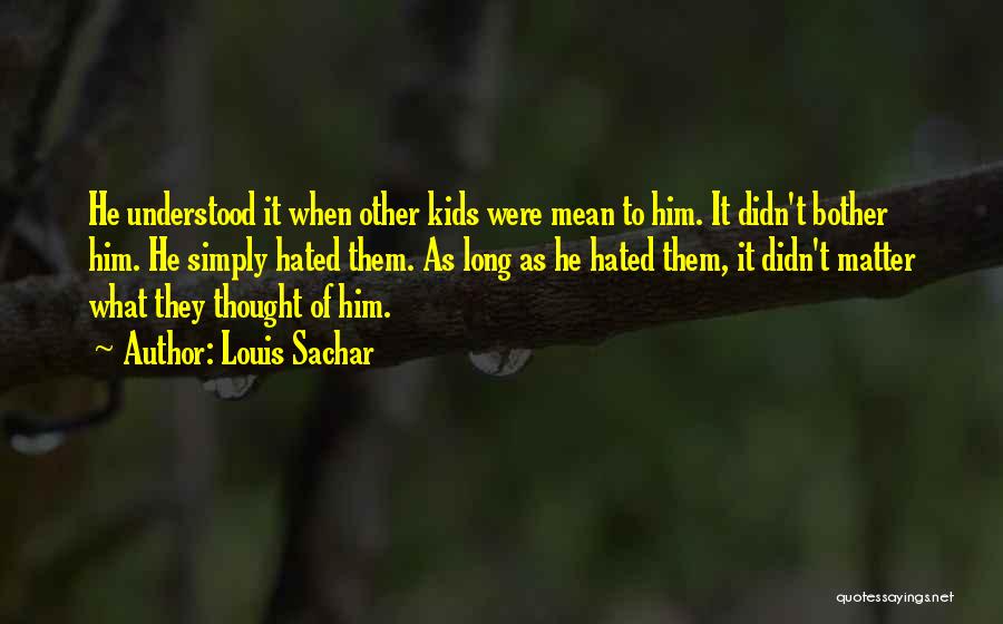 Didn't Mean To Bother You Quotes By Louis Sachar