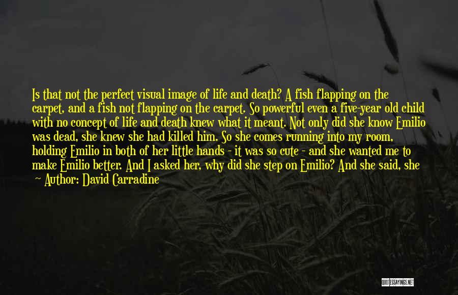Didn't Mean To Hurt Quotes By David Carradine